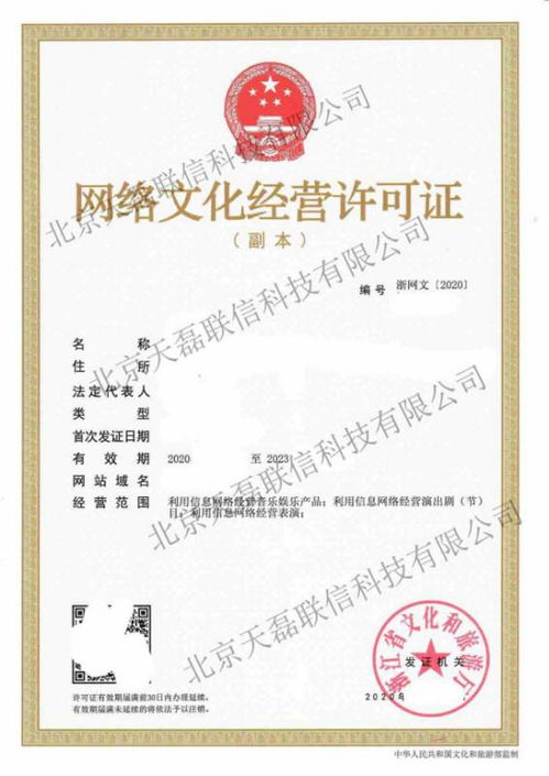 办理网络视听许可证申请条件详解